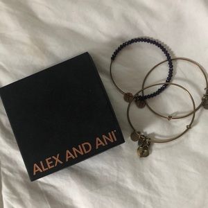 Alex and Ani Key to my Heart gold bangle set